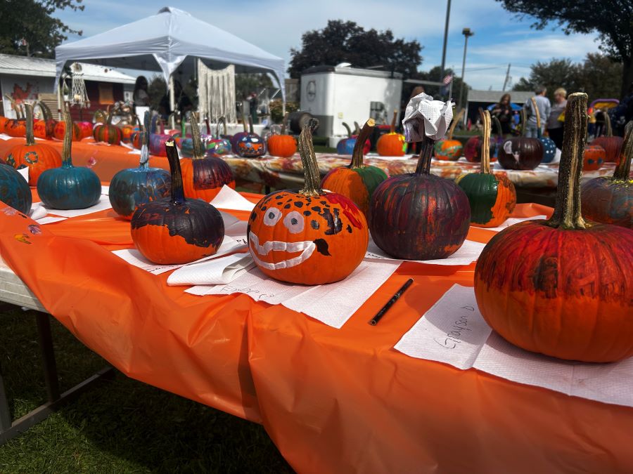 pumpkins-comp.jpg
